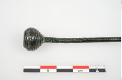 Foto von Bronzerippenkugelkopfnadel (NHMW-PRAE-026126)